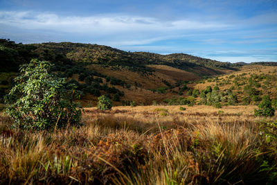 Horton plains / world's end