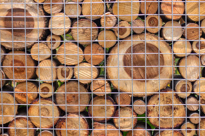 Full frame shot of food