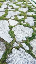 High angle view of stone wall