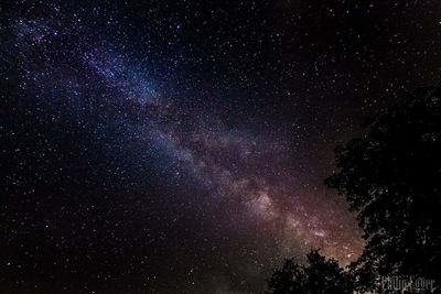 Low angle view of stars in sky