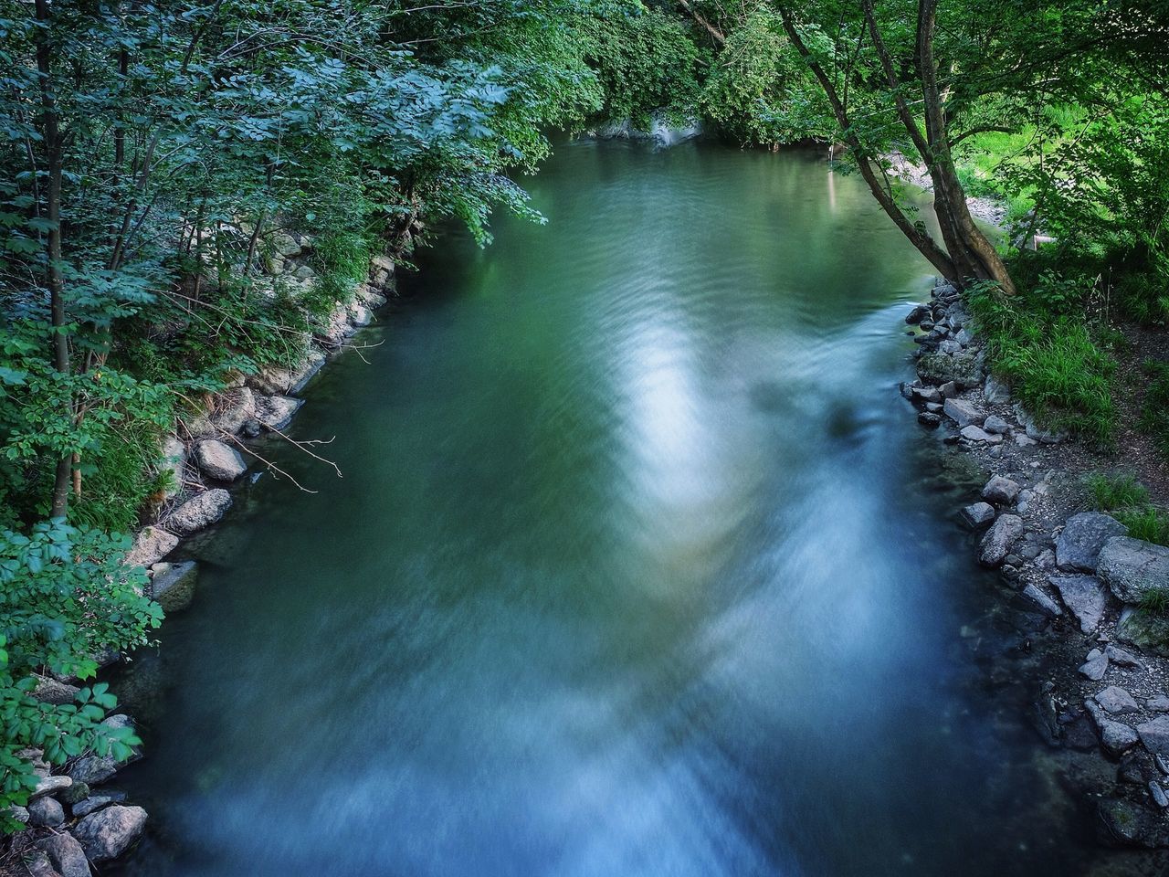 water, tree, tranquility, nature, beauty in nature, tranquil scene, scenics, river, stream, growth, reflection, forest, waterfront, high angle view, day, plant, outdoors, no people, idyllic, flowing