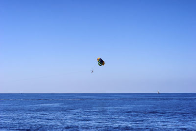 People paragliding over sea against clear blue sky