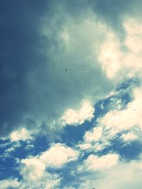 Low angle view of birds flying in sky