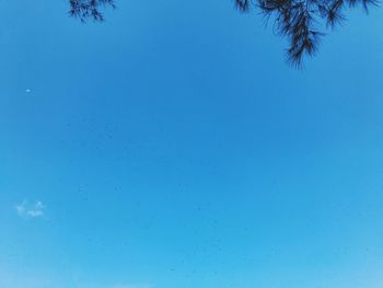 Low angle view of bubbles against clear blue sky