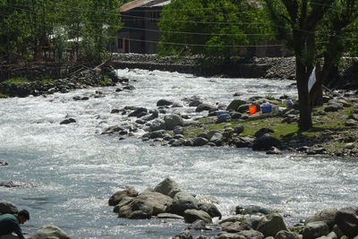 Scenic view of river amidst trees