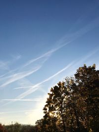 Low angle view of silhouette trees against sky