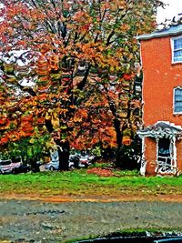 Trees in front of building