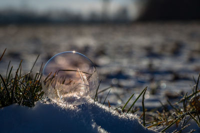 Close-up of water on beach