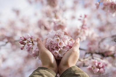 Cropped hands holding flowers