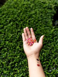 Close-up of woman hand holding sprinkles