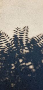 High angle view of shadow on sand