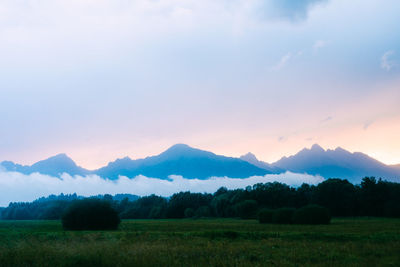 Scenic view of field against sky during sunset