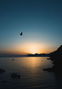 Silhouette bird flying over sea against sky