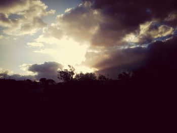 Silhouette of trees at sunset