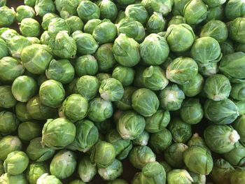 Full frame shot of brussels sprout