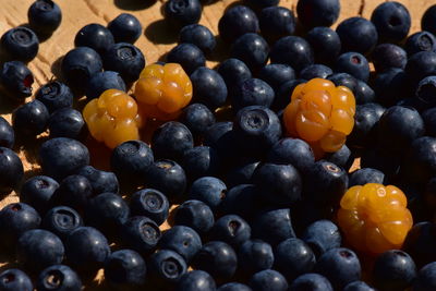 High angle view of berries