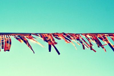 Low angle view of paper streamers hanging against clear sky