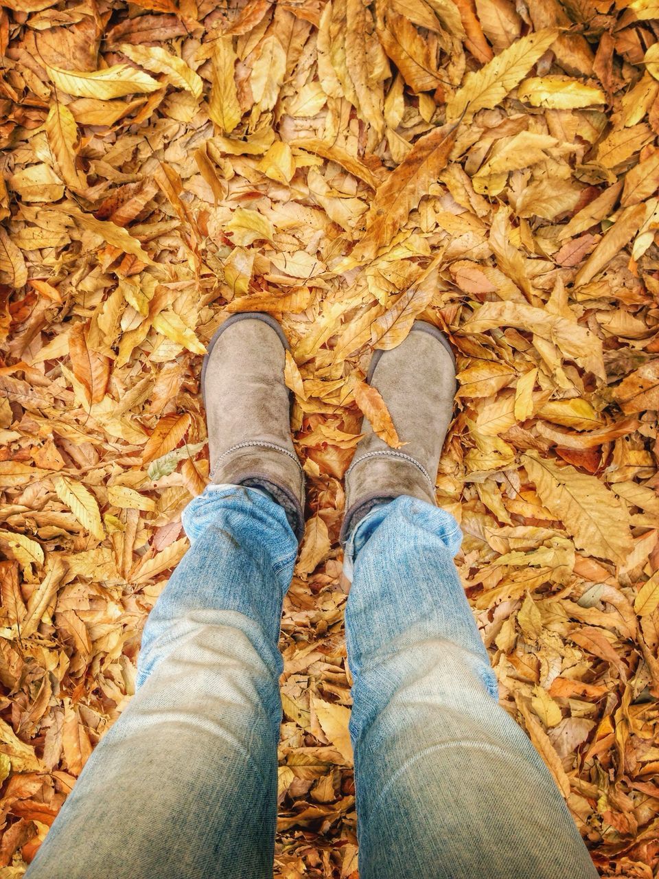 low section, person, personal perspective, shoe, high angle view, human foot, part of, jeans, footwear, standing, lifestyles, directly above, unrecognizable person, leaf, autumn, outdoors, close-up