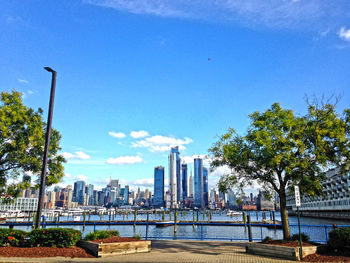 Trees and buildings against blue sky