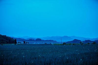 Scenic view of field against clear blue sky