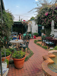 Potted plants on footpath by building