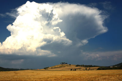 Scenic view of field against sky