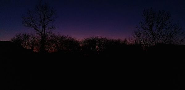 Silhouette trees against sky at night