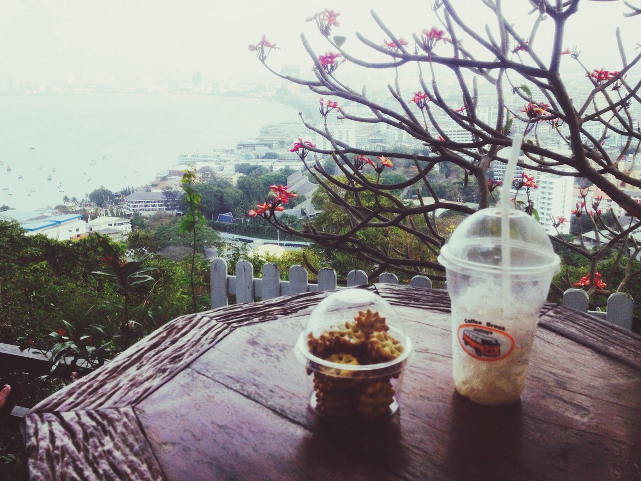 table, food and drink, freshness, water, tree, drink, potted plant, flower, refreshment, plant, day, growth, nature, drinking glass, built structure, wood - material, no people, architecture, outdoors, high angle view