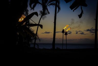 Silhouette plants on beach against sky during sunset