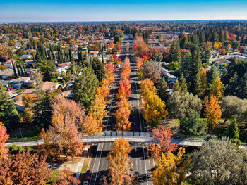 High angle view of trees in city