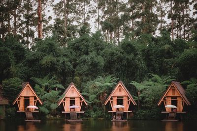 Houses by trees in forest