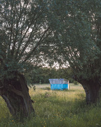 Scenic view of field