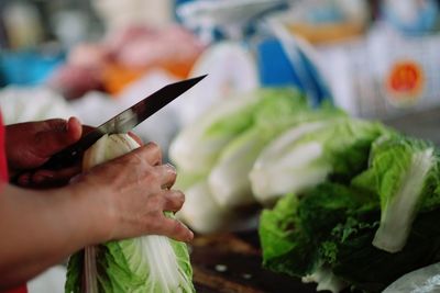 Cropped hands of man cutting bok choy at market