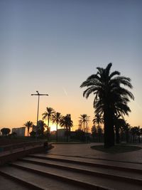 Silhouette palm trees against sky during sunset