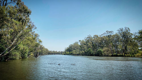 Scenic view of river against clear sky