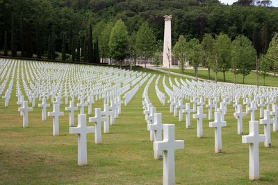 Row of cemetery against trees