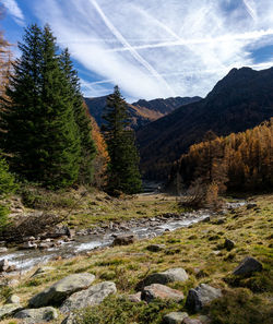 Scenic view of stream by trees against sky