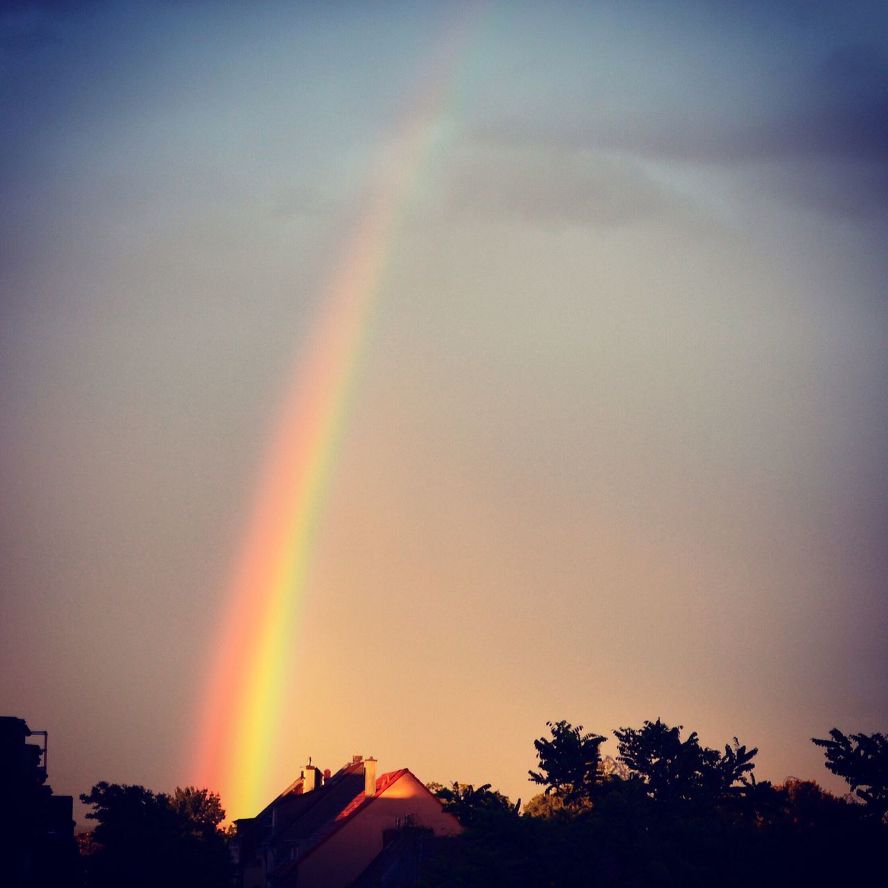 tree, sunset, rainbow, sky, scenics, beauty in nature, silhouette, multi colored, nature, tranquility, tranquil scene, orange color, idyllic, outdoors, low angle view, no people, building exterior, dusk, built structure, copy space