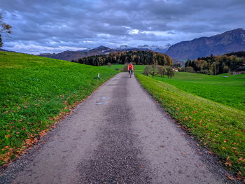 Road amidst green landscape against sky