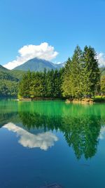 Scenic view of lake by trees against blue sky