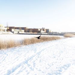 Snow covered field against clear sky