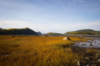 Scenic view of field by lake against sky