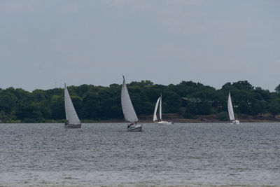 Sailboats sailing on sea against sky
