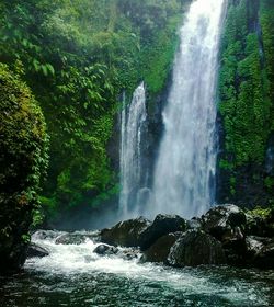 Scenic view of waterfall