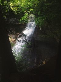 Waterfall in forest