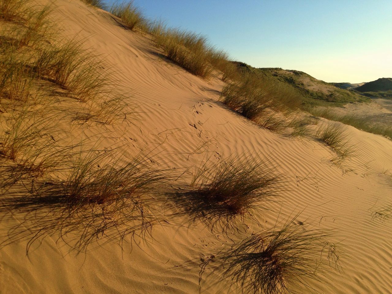 South Wales coast