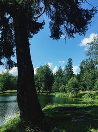 Trees by lake against sky