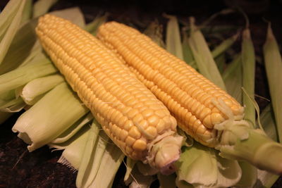 Close-up of vegetable