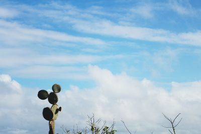 Low angle view of sky