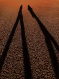 Shadow of people on sand